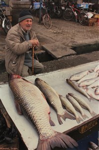 Image description is not available for 2009.078